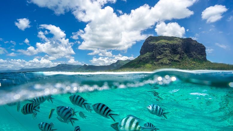 Mauritius: The Tropical Paradise Looking to Become a Blockchain Hub