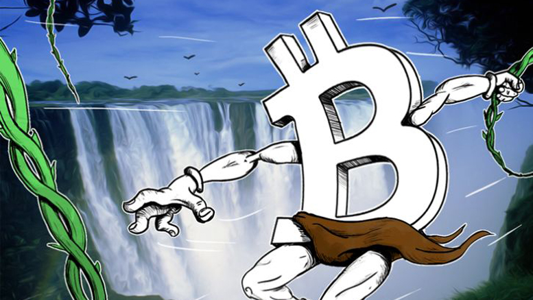 Zimbabwe Provides ‘Ideal Scenario’ for Bitcoin Companies, Says Lawyer in White Paper
