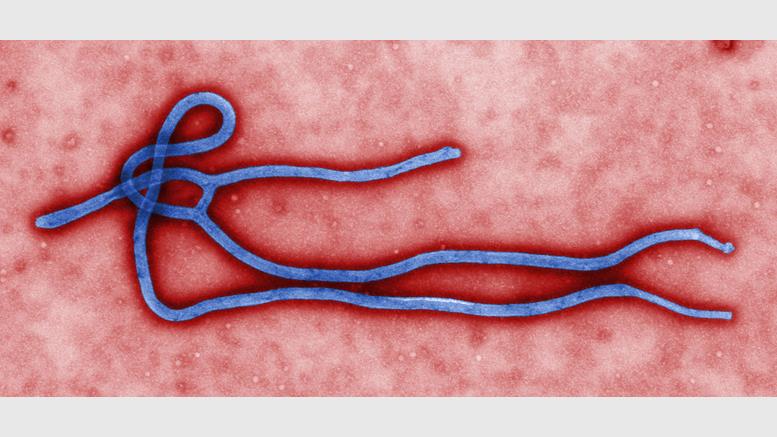 Use Bitcoin to Fight Ebola