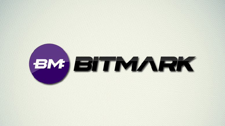 Interview with Bitmark Developers