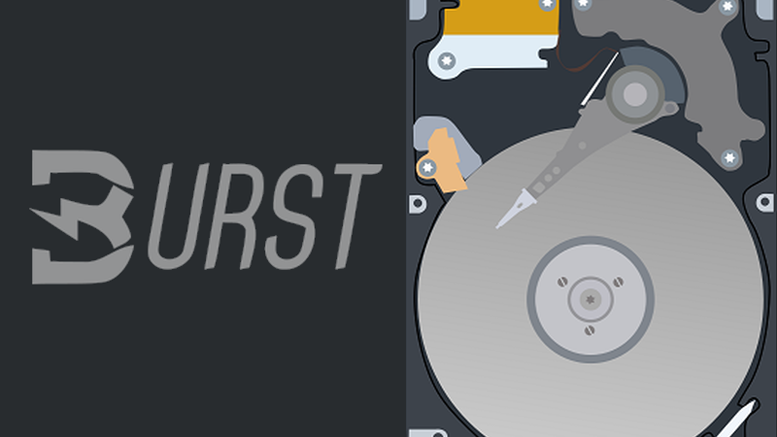 Burst: Decentralized File Storage (Exclusive Interview)