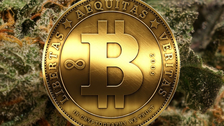 Cannabis Executive Doesn’t Understand Bitcoin