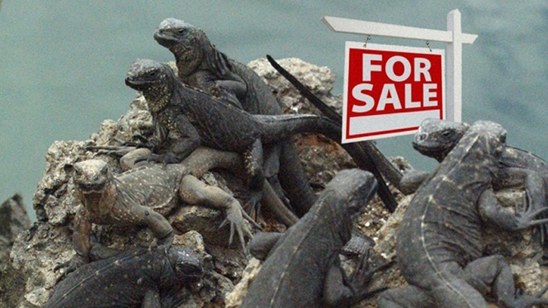 Lizard Squad Made $11,000 in BTC from DoSing