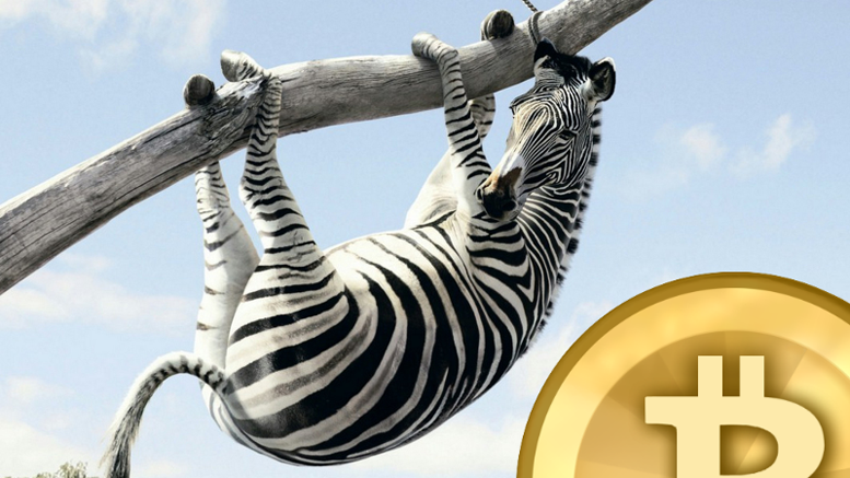 Bitcoin Zebra: Feed the Zebra!