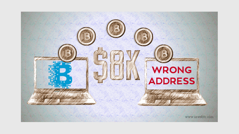 Blockchain.info Sent $8k worth of Bitcoin to Wrong Address