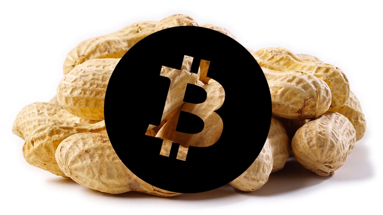 Recurring Payments Button for Bitcoin ‘Peanuts’ Unveiled