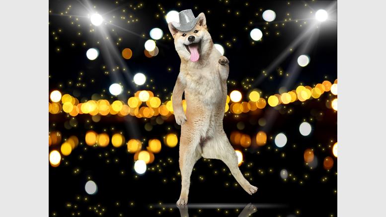 Dogecoin Community Celebrates as Merge Mining with Litecoin Begins