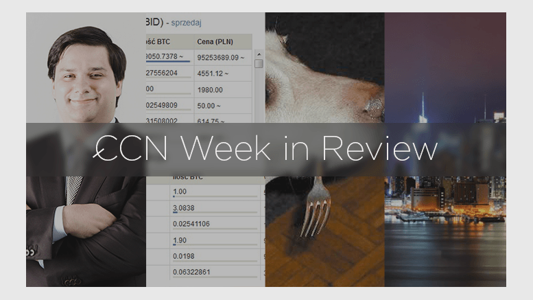 CCN Week in Review: Square Supports BTC, Neo & Bee Insolvency, Crypto Rush Collapses, and More