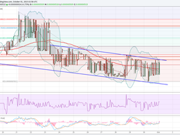 Dogecoin Price Technical Analysis - Buyers Seem To Be Struggling