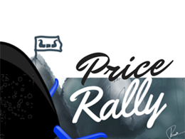 What Spurred the Recent Bitcoin Price Rally?