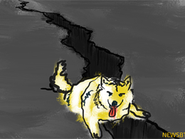 Dogecoin Price Technical Analysis for 27/11/2015 - Important Support Breached