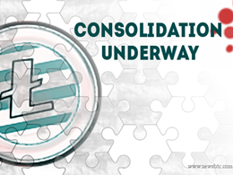 Litecoin Price Technical Analysis for 24/7/2015 - As Flat As It Gets