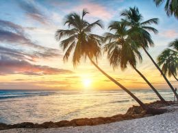 Overstock Invests $4 Million in Barbados Bitcoin Startup