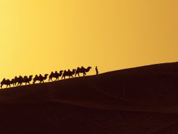 Silk Road 3.0 Is Back… Will It Last?