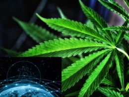 Crypto Cannabis Conference 2016 to Examine Bitcoin, Legalization