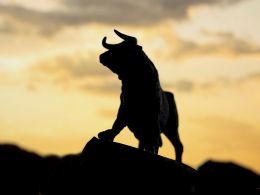 Bitcoin Price Jumps to $590, Bull Predictions Coming True?