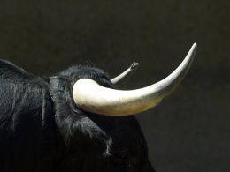 Bitcoin Bull Market is Still Intact