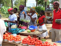 Bitcoin Funding & Education For Zimbabwean Farmers