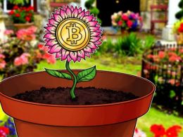 Llew Claasen: Why the Rest of 2016 Will Bring Even More Growth to Bitcoin, Blockchain Focus Being Blessing