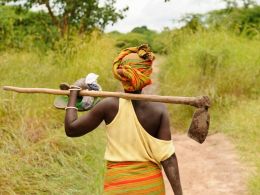 Zimbabwean Women Farmers Accelerator Introduces Bitcoin as a Cash Alternative