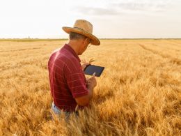 Australian Wheat Farmers Trial Blockchain to Sell Grain