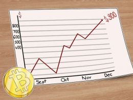 Bitcoin Price Goes Past $900 As Vinny Lingham Predicted