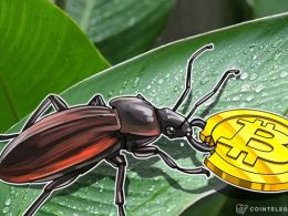 Community Reacts to Bitcoin Unlimited Bug, Calls For SegWit Activation