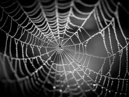 This Dark Web Market is Planning to Add Support for Ethereum