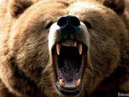 Markets Update: Bitcoin’s Battle Against the Bear Market