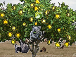Australian Exchange CoinTree Adds Regular Bitcoin Purchases Feature
