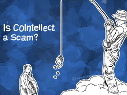 Is CoIntellect a Scam?