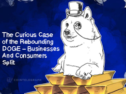 The Curious Case of the Rebounding DOGE – Businesses And Consumers Split