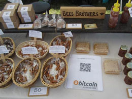 Sweet success for Bees Brothers, world's youngest bitcoin entrepreneurs