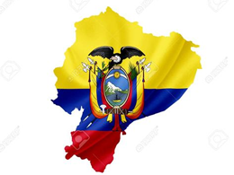 Ecuador's digital currency is winning hearts!