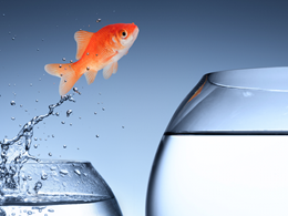 Koinify to Stop Token Sales Ahead of Platform Pivot