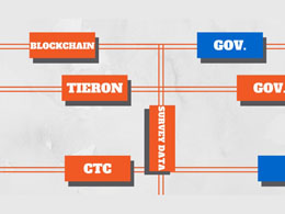 Tieron: Using Blockchain Technology for Government Surveys
