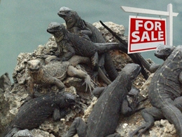 Lizard Squad Made $11,000 in BTC from DoSing