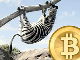 Bitcoin Zebra: Feed the Zebra!