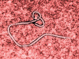 Ghana Startup Launches Bitcoin Donations Hub to Aid Ebola Fight