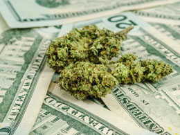 Colorado Monthly Marijuana Sales Top $100,000,000 with No Banking Partners in Sight