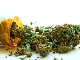 CannabisCoin Pegged to Medical Marijuana: 1 Gram = 1 CANN