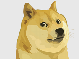 My Experience on Wheel of Doge