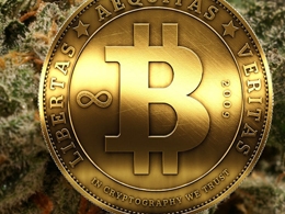 Cannabis Security Firm Goes Bitcoin to Solve Industry’s Banking Problem