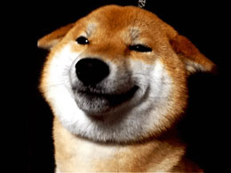 Dogecoin is Enjoying an All-Around Amazing Week