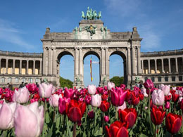 Belgian Tax Body: Bitcoin Trades Not Subject to VAT