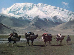Mt. Gox Denies Links to Silk Road Narcotics Bazaar