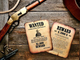 How a Player Cheated an Online Bitcoin Gaming Site for $1 Million: Reward Offered for Help