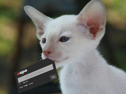 XAPO Debit Card Exclusive Interview - Fees Reimbursed in Bitcoin